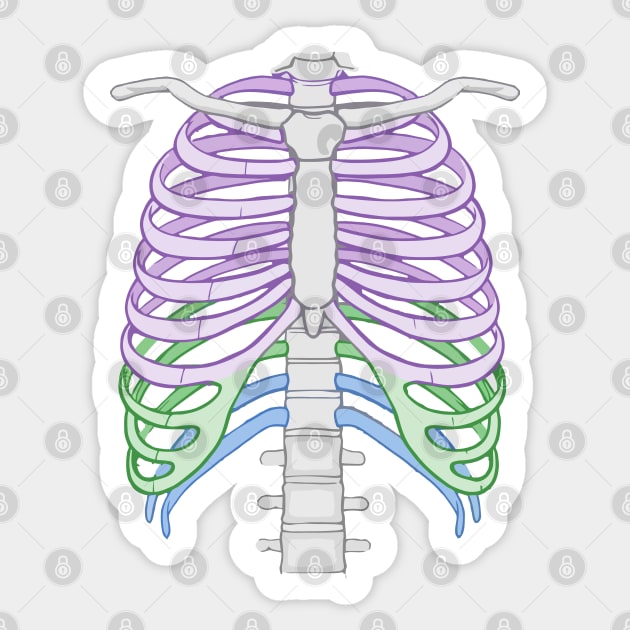 Colourful Ribcage Sticker by labstud